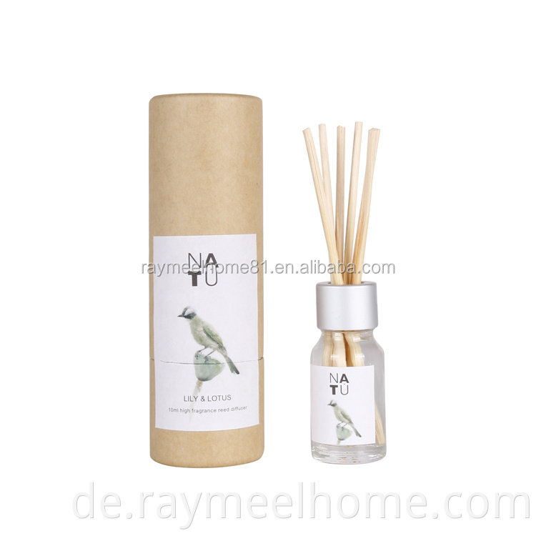 Mini 10 ml Glasflasche Home Duft Reed Diffusor Geschenk